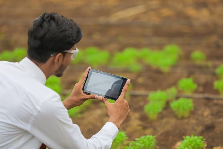 NPK Soil Testing