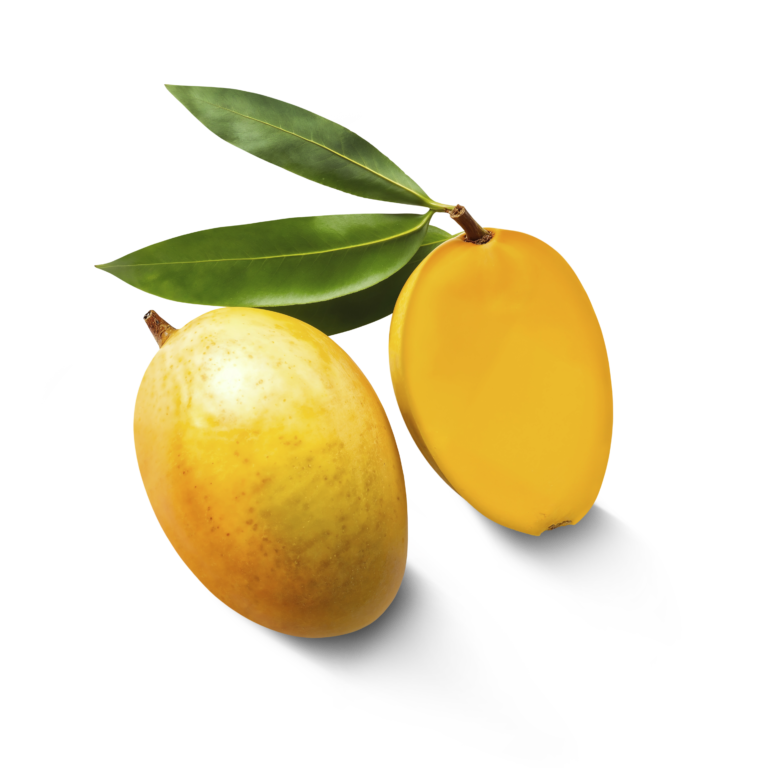 mango Crop